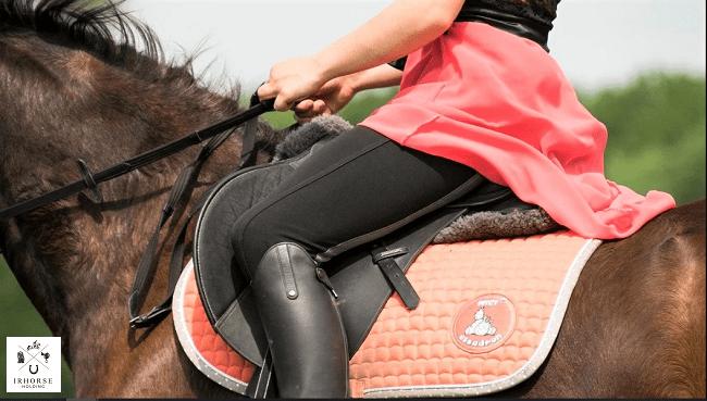 اهمیت تماس شلوار سوارکاری به زین اسب