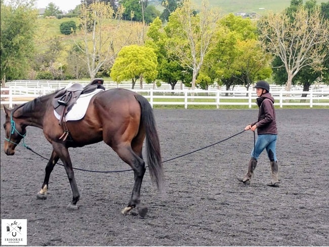 در لنژ کردن، اسب در یک مسیر دایره ای دور یک نقطه ی ثابت که آموزش دهنده ایستاده، می چرخد و حرکات را آموزش می بیند